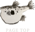PAGE TOP